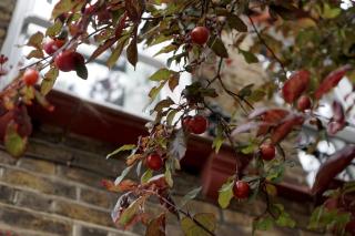 Beautiful London home sleeps 6, 2 minutes to metro - Londra - 2