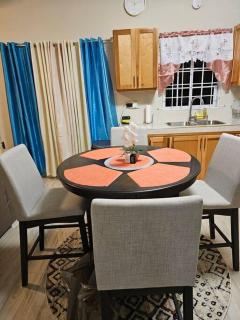 SG Apartment Complex (Apt #1) - Linstead - 9