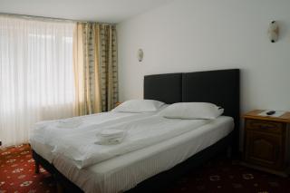 Hotel Casa Pelerinul - 3