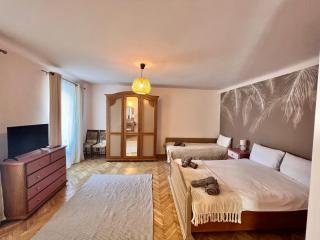 Simon Old Town City Center Apartments - Braşov - 9