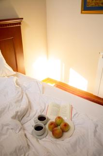 Le Cedrus Hotel - Al Arz - 1