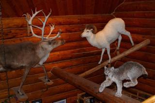 Wise Old Hunter Lodge - 8