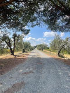 Castellare Di Tonda - Montaione - 9