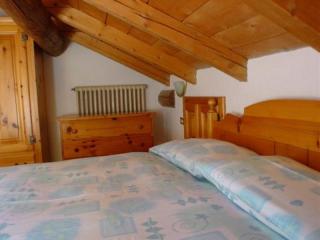 BIKE SKI APARTAMENTS SAROCH - 4