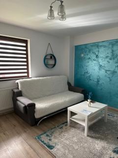 Jasmine Apartment - Iaşi - 6