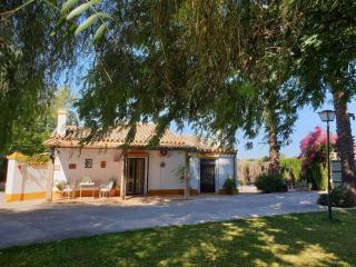 FINCA EL ROMERO, Finca a 15 minutos de Sevilla - Alcalá del Río - 0