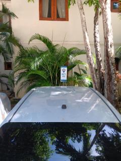 Beachfront 2BR Apartment with Pool & Terrace in Las Terrenas - Las Terrenas - 7
