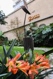 Casa Franca Recoleta Hostel Boutique - Buenos Aires - 6