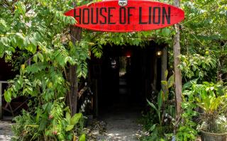 House of Lion Hostel - 8