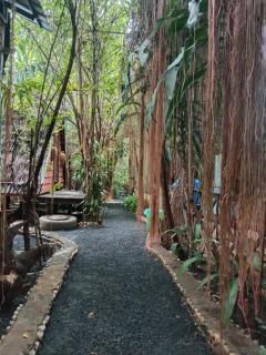 Ratanakiri Homestay & Jungle Trek - Banlung - 9