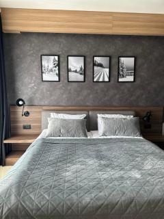 WOODSIDE Apartment M Kopaonik FREE Parking - Kopaonik - 2