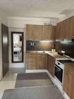 Wonderfull Village studio with terrace - Rakvice - 5