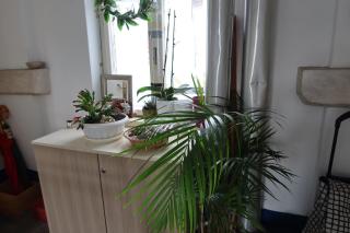 Apartment Mina - Belgrado - 7