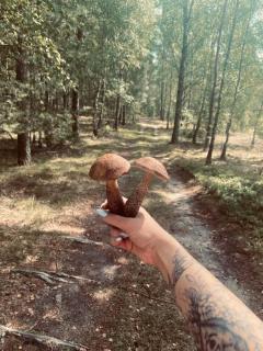 Domek Bartoszylas z sauną i balią - Bartoszylas - 1