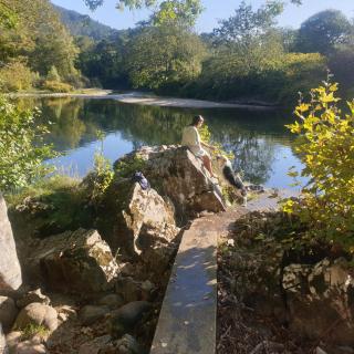 El Búho de la Remolina - Bode - 7