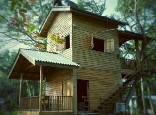 Wilpattu Tree House - Wilpattu - 6