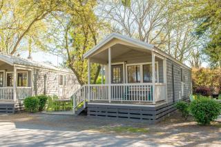 Jellystone Park Tower Park Resort - Lodi - 7