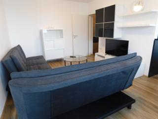 Elegant Apartment Poklukarjeva Street - 9