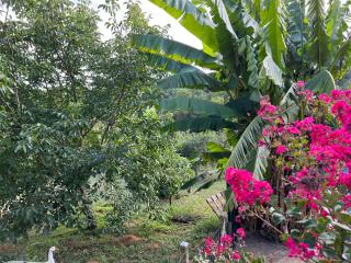 Les Conches, Chambres d'Hôtes et Gite - 7