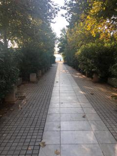 Stelios Seaside apartment - 1