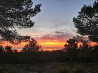 Le Rempart - 2
