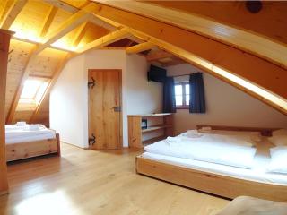 Hochgolling Loft - Mariapfarr - 1