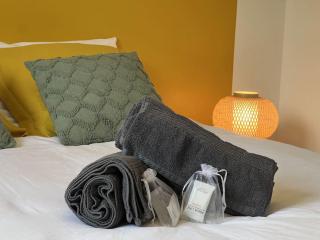 * Domaine de la Solaie * - Proche Bords de Loire - Saint-Denis-de lʼHôtel - 6