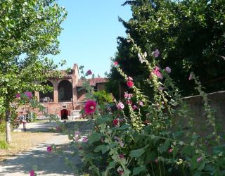 Agriturismo Olivazzi - Quattordio - 6