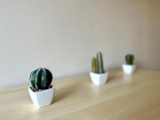 MMRent Desert Room - 5