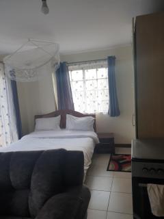 Furnished studio apartment- Ngara - Nairobi - 4