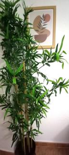 Céntrico apartamento en Córdoba by beBalmy - 5