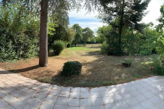 Le cèdre du Prieuré - Montreuil-le-Henri - 5