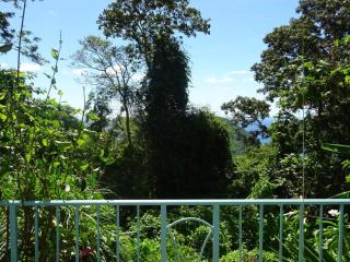 Bungalow DOUROU - Deshaies - 8