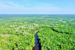 Wildlife Haven Retreat - Evart - 1