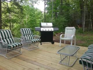 Timber Bend Retreat - Evart - 9