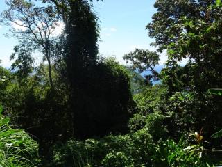 Bungalow DOUROU - Deshaies - 9