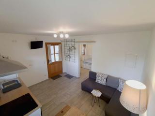 Ferienwohnung Jahnel - Waging am See - 1