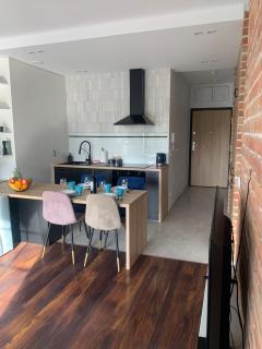 Stylowy Apartament przy Manufakturze w samym centrum Łodzi - Łódź - 5