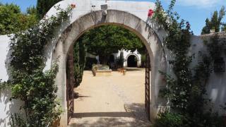 Mas des Bécasses, en Provence - 22 personnes - Arles - 7