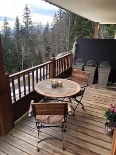 Superbe appart cosy, piscine terrasse, ascenseur. - Cohennoz - 7