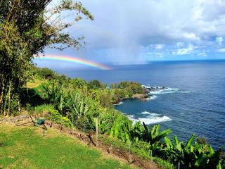 Seacliffbnb - Laupahoehoe - 7