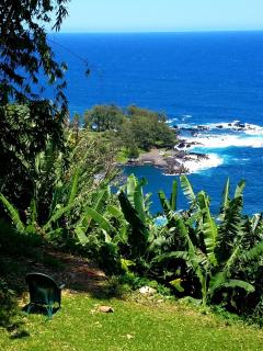 Seacliffbnb - Laupahoehoe - 8