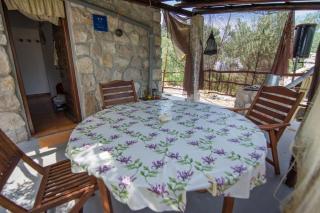 House Viola - Otok Zizanj - 1