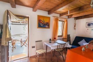House Viola - Otok Zizanj - 5