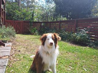 DolceVita at Peppertree Cottage - 9