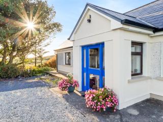 Flaherty Cottage eco - Ballyconneely - 9
