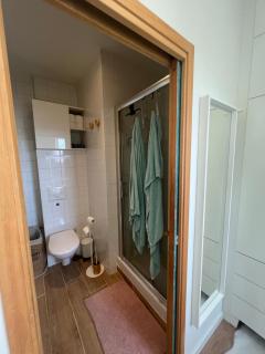 Appartement cosy orangerie - Estrasburgo - 8