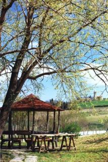 Agriturismo Il Mio Casale - 5