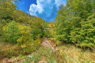 Ski In~Ski Out Beech Haven - 4