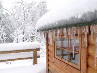 Escapade Romantique: Cabane avec Terrasse Panoramique, Poêle à Bois et Éclairage Multicolore - FR-1-589-441 - Ferdrupt - 3